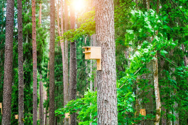 Vogelbox an Baum im Wald - Foto, Bild
