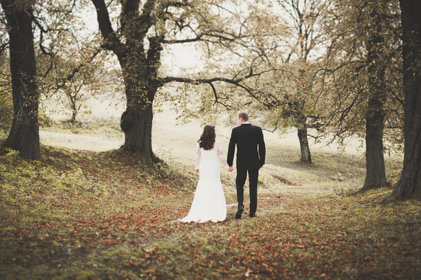 Romantic, fairytale, happy newlywed couple hugging and kissing in a park, trees in background - 写真・画像