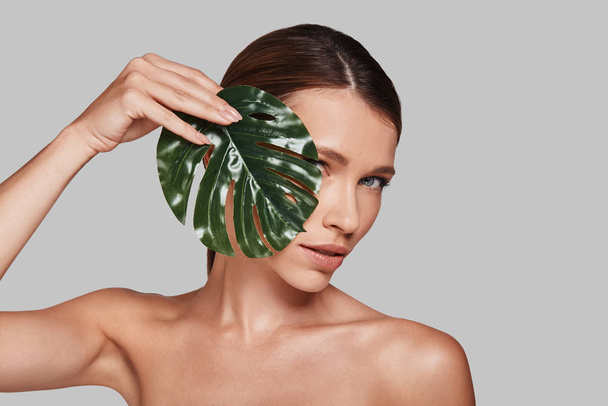 Sensual woman covering face with leaf while standing against grey background - Photo, Image