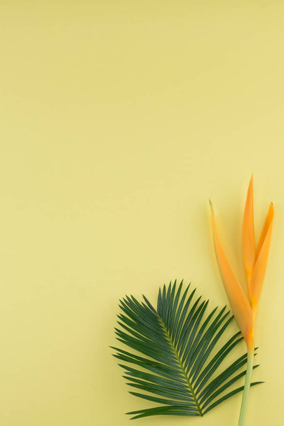 Hojas de helecho y flor de pájaro del paraíso sobre fondo amarillo pastel con espacio para copiar
 - Foto, Imagen