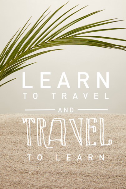 закрыть вид на зеленый лист пальмы и песок на сером заднем плане, научиться путешествовать и путешествовать, чтобы выучить надпись
 - Фото, изображение