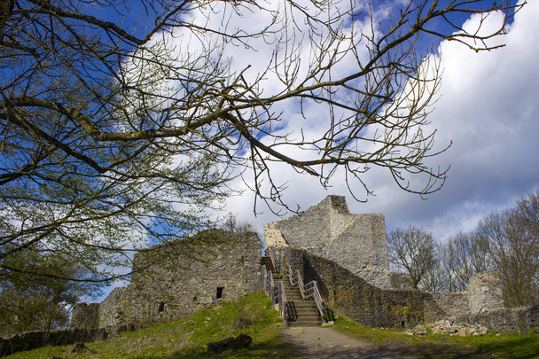 Ruins of the Lwenburg in the seven Mountains, Siebengebirge next to Bonn, Germany - Photo, Image
