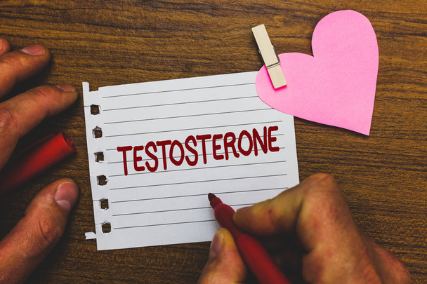Writing note showing Testosterone. Business photo showcasing Male hormones development and stimulation sports substance Small pitch paper clip paperclip love wood black shadow creative ideas - 写真・画像