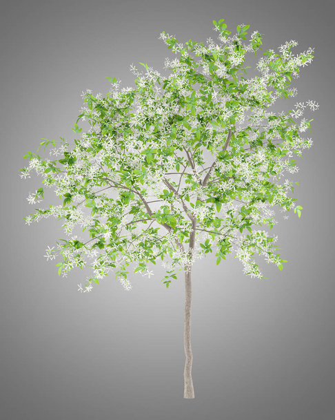 ανθίζοντας δέντρο λεμόνι που απομονώνονται σε γκρι φόντο. 3D απεικόνιση - Φωτογραφία, εικόνα