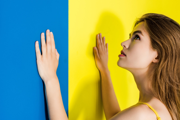 Menina atraente colocando as mãos no fundo azul e amarelo
 - Foto, Imagem