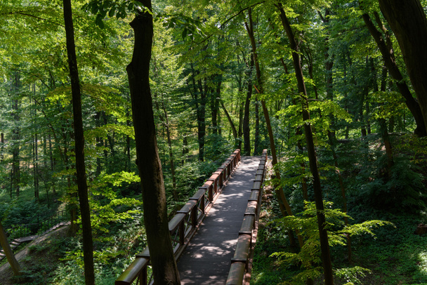 μεγάλη γωνία προβολής ξύλινη γέφυρα και δέντρα στο πάρκο - Φωτογραφία, εικόνα