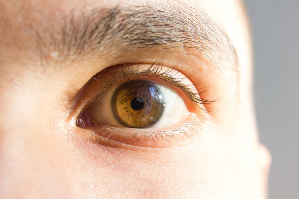 Brown eyes of a young guy - Photo, Image