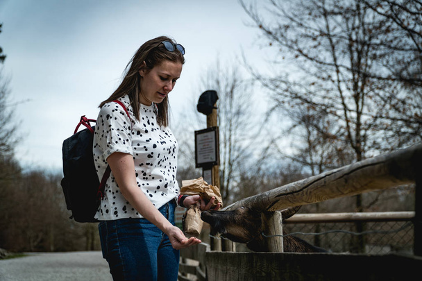 Almanya'da bir yerde wildpark bir keçi ve backpacker kız arasındaki ilişki. Kız en yakın keçi ona elini besleniyor - Fotoğraf, Görsel