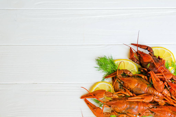Boiled tasty river crayfish on white wooden background with fennel (dill) and lemon on the side - Photo, image