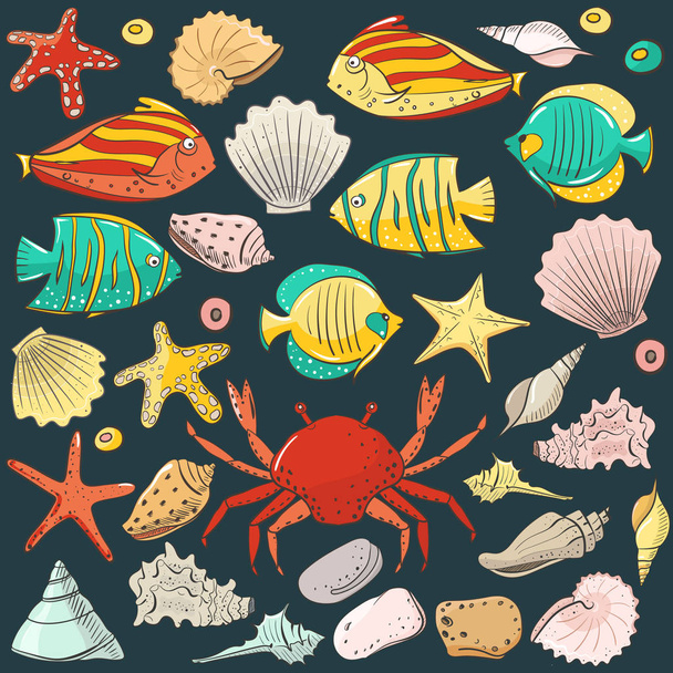 Collection with shell, starfish, fish, stone. Vector set for design in sea beach style. Colored exotic shells. - Вектор,изображение