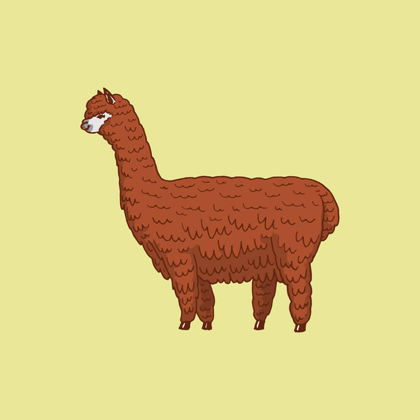 Mignon Alpaga Llamas ou guanaco sauvage sur le fond d'animaux souriants drôles au Pérou pour carte affiche invitation t-shirt. Éléments tirés à la main. Croquis gravé
. - Vecteur, image