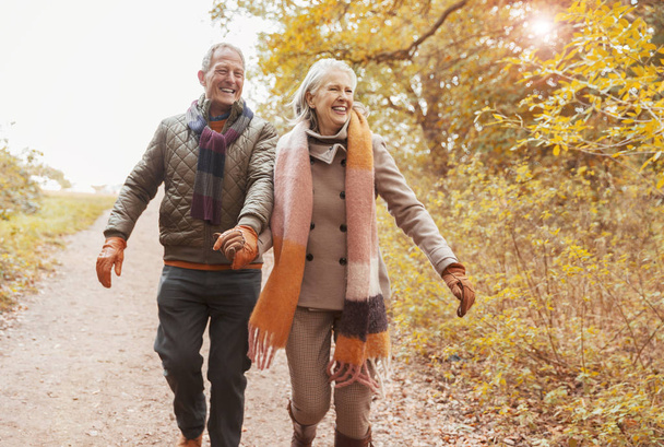 Sonriente pareja de ancianos tomados de la mano caminando por el camino en los bosques de otoño
 - Foto, Imagen