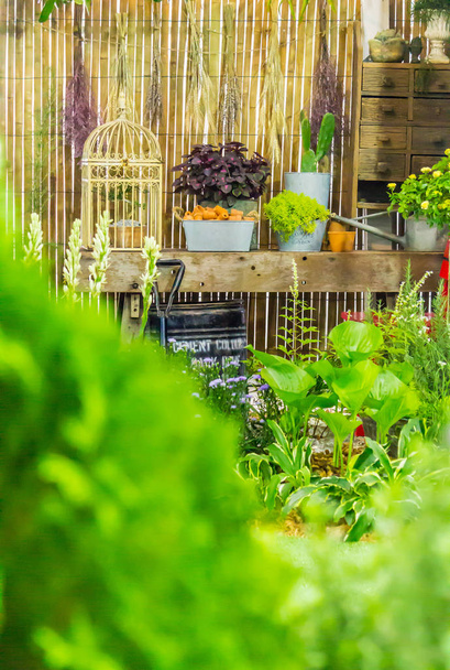 Área de relaxamento com decoração de objetos de jardim na prateleira no acolhedor jardim caseiro no verão
.  - Foto, Imagem