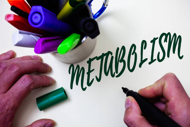 Word writing text Metabolism. Business concept for Chemical processes in body to produce energy food processing Artist study library colourful pen bunch handwritten beautiful script - Photo, Image