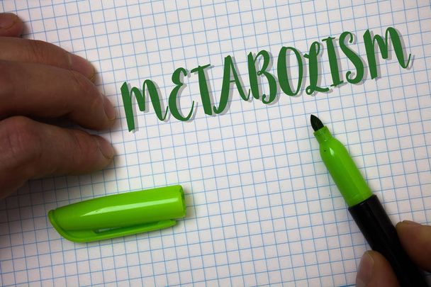 Концептуальный почерк, показывающий метаболизм. Химические процессы в организме для производства энергии пищевой обработки Box фон маркера крышки маркера графика офис ноутбука
 - Фото, изображение
