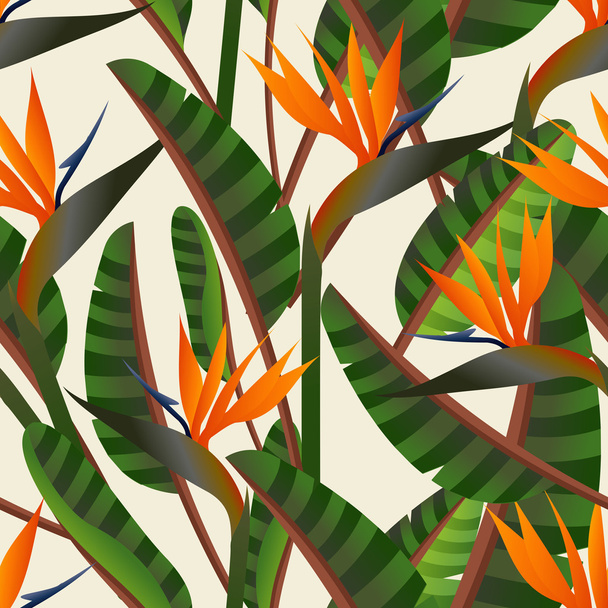 Bird of the paradise flower pattern - Vector, Image
