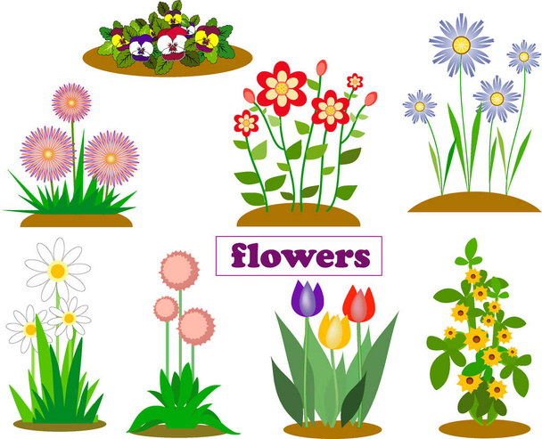 elkülöníti a tavaszi és a nyári kerti és erdei virágok - Vektor, kép