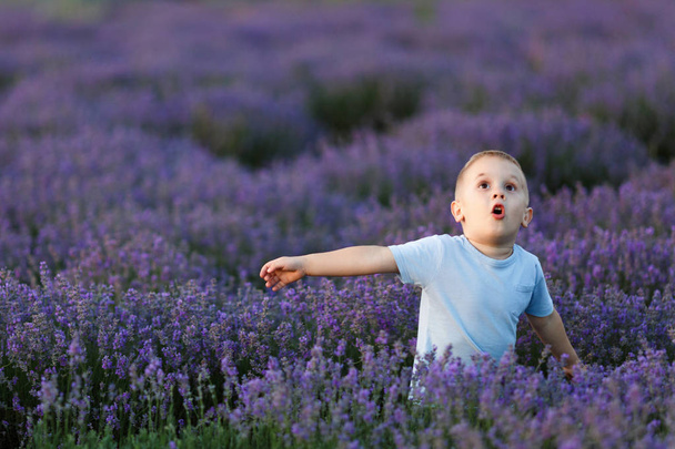 Hravé malé roztomilé dítě baby boy chůze na fialové levandule Květinová louka pole pozadí, běh, bavit se, hrát, užívat. Radostné malé dítě syna. Den rodiny, děti, děti, dětství, stylu života - Fotografie, Obrázek