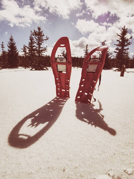 Yumuşak karda dağlarda yürüyüş için kar ayakkabıları. Kış spor etkinlik kavramı. - Fotoğraf, Görsel