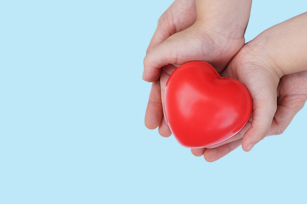 Adult and Child kid Hand holding Red Heart,Concept of Love and Health care,family insurance.World heart day, World health day.Valentine's day.isolated shape of heart on pastel blue background. - Photo, Image