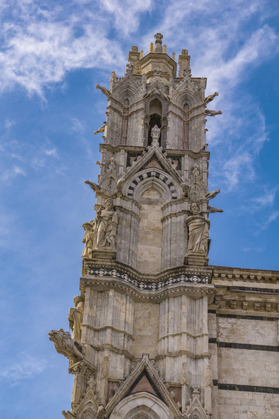 Крупним планом подання собору Сієни в Італії - Фото, зображення