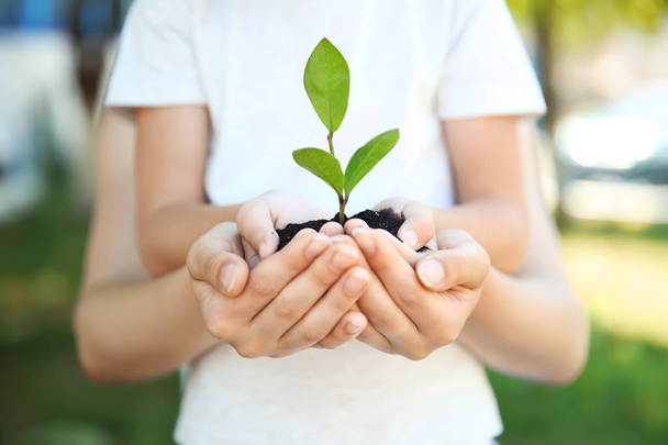 Woman and her child holding soil with green plant in hands on blurred background. Family concept - Photo, Image