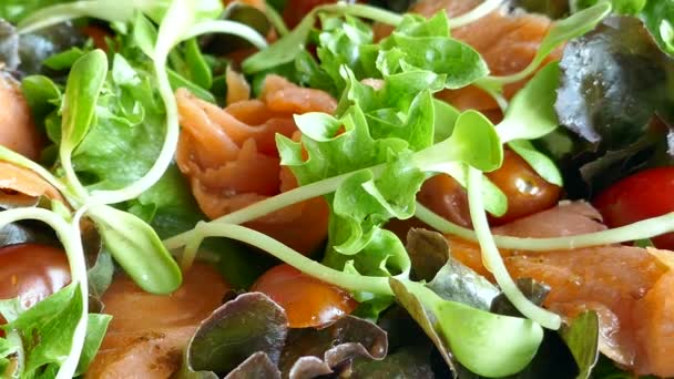 lahodné uzený losos salát s čerstvou zeleninou - Záběry, video