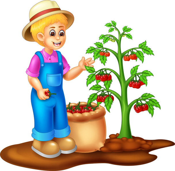αστείος αγόρι καρτούν στέκεται picking ντομάτες με χαμόγελο - Διάνυσμα, εικόνα