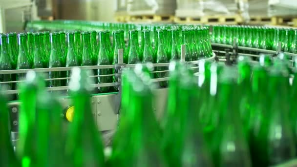 Champagne bottles on factory conveyor belt - Footage, Video