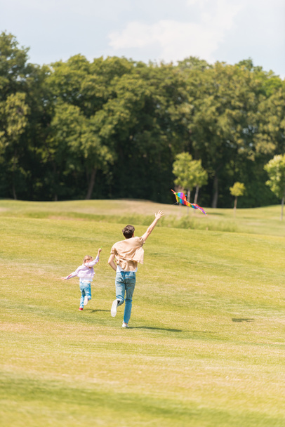 back view of father and daughter running on meadow and playing with kite - Фото, зображення