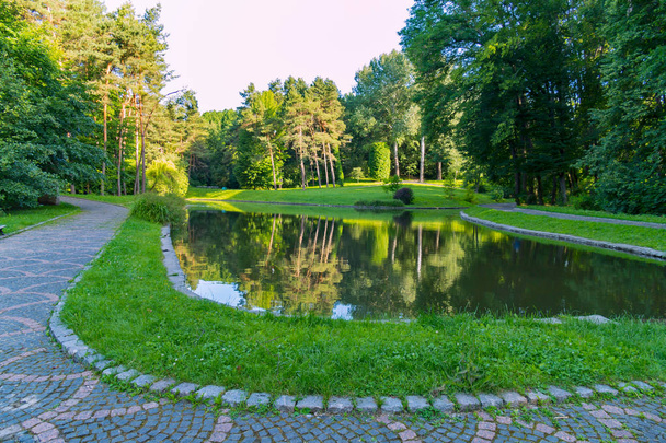 A clean decorative lake in the middle of a walk alley against the backdrop of the forested park trees - Photo, Image