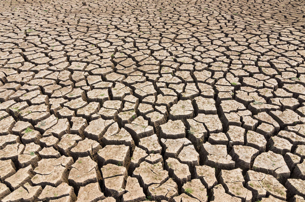 Globální oteplování, sucha v létě, zem je suchá nádrž Mae moh, Lampang, Thajsko. - Fotografie, Obrázek
