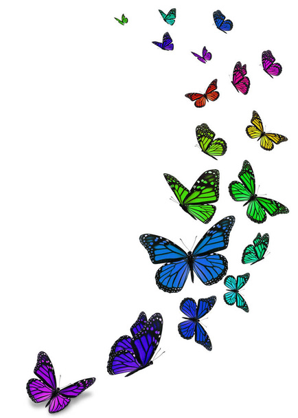 Beyaz arka plan üzerinde izole güzel kelebek monarch. - Fotoğraf, Görsel