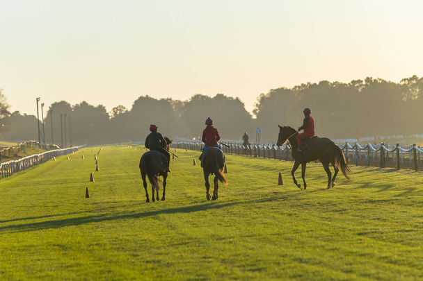 Rennpferde Jockeys Silhouette Trainingsläufe auf Grasbahn in der Morgendämmerung. - Foto, Bild