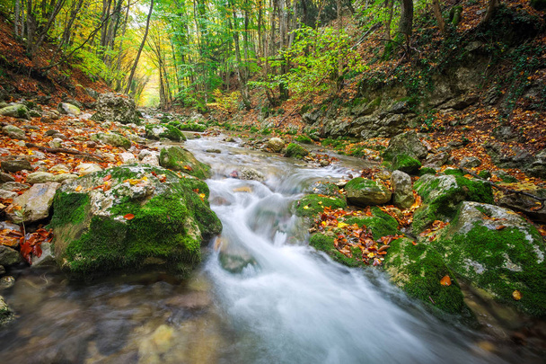 Красивый осенний пейзаж с горной рекой, камнями и красочными деревьями. Горный лес в Крыму
 - Фото, изображение