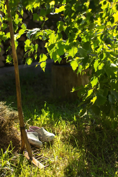 Куточок саду з граблями і гребенями, гілками дерев і сіном. Ранок у саду
 - Фото, зображення