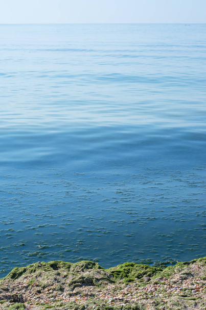 algas verdes na praia do mar, poluição do meio ambiente, o horizonte. Composição vertical
 - Foto, Imagem