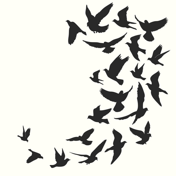 silhuetas pretas de aves isoladas sobre fundo branco
 - Vetor, Imagem