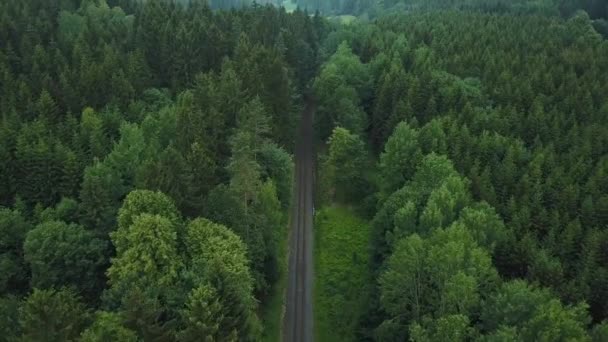 wunderschöne Landschaft im Wald in Deutschland. Eisenbahn im Waldblick - Filmmaterial, Video