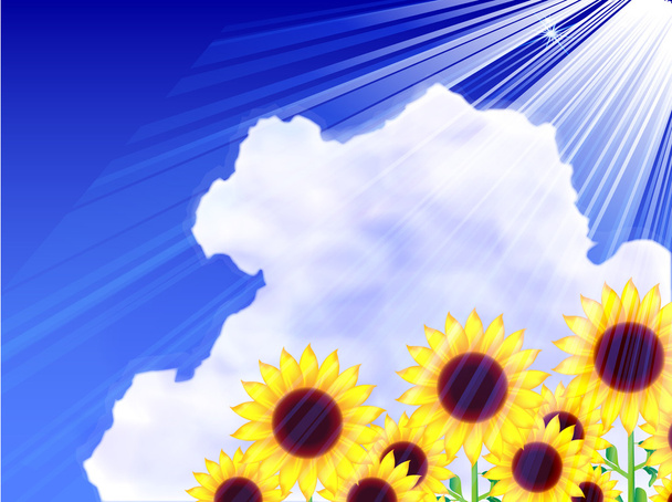 Ayçiçeği yaz gökyüzü arka plan - Vektör, Görsel