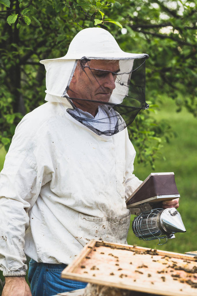 Close up shot of man hand holding frame with bees wax. Selective focus. - Fotó, kép