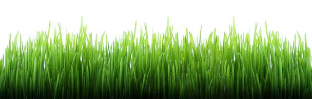 довгій траві
 - Фото, зображення