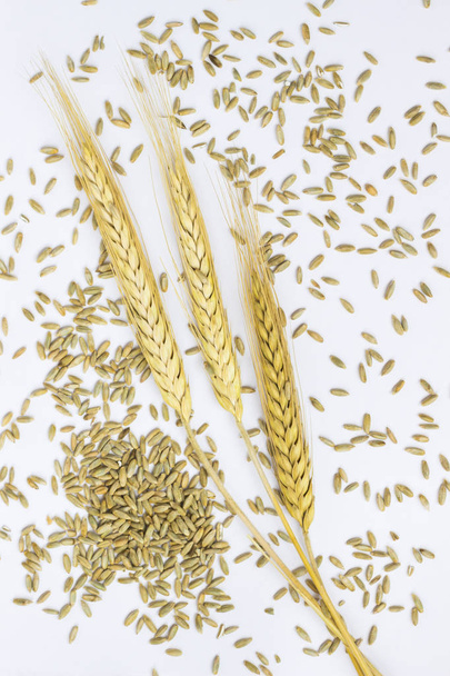 Sprig of barley among barley grains. White background. Top vie - Foto, Bild