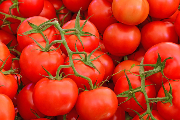 Сен-Жермен-ан Лай; Франція - Серпень 7 2016: помідори на ринку - Фото, зображення