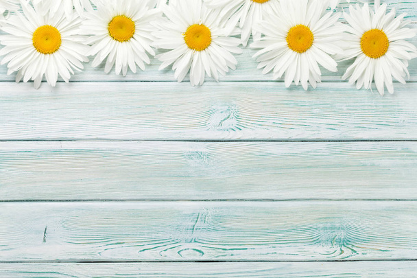 Garden chamomile flowers on wooden background. Top view with copy space - Photo, Image