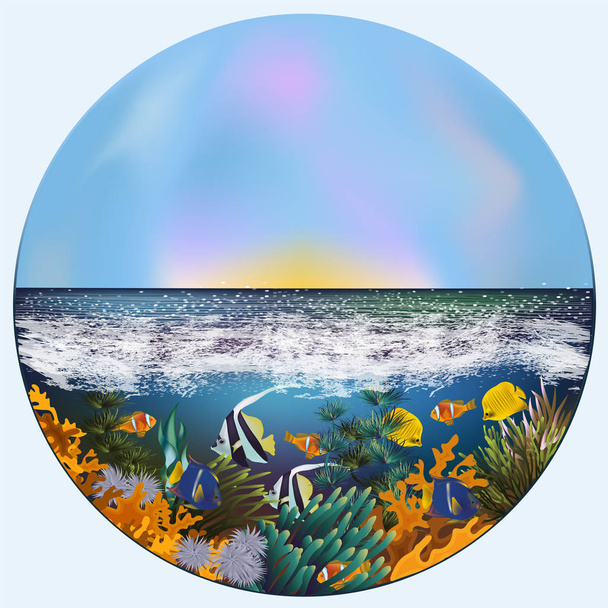 Underwater summer cad with tropical fish, vector illustration - Вектор,изображение