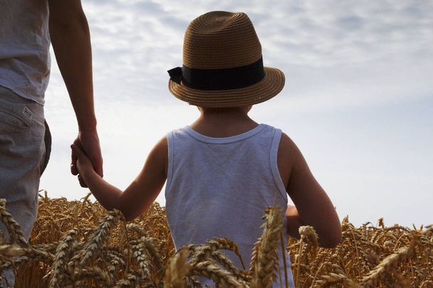 Happy family. Father and son looking at the sun in the wheat field. Backview.  - Foto, Imagen