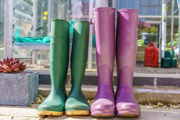 Close up of a pair of purple and green Wellington Boots stood outside a green house in a garden - Fotó, kép