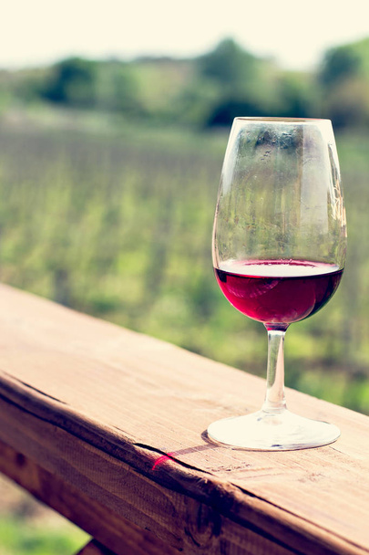 Очки с вином красного цвета. Дегустация вина в винограднике
. - Фото, изображение