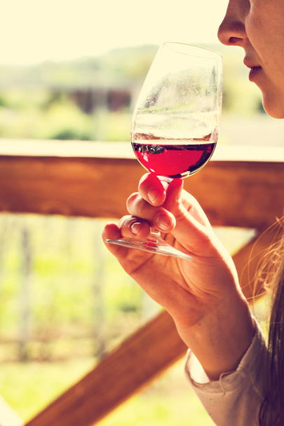 Brýle s vínovou. Ochutnávka vín ve vinici. - Fotografie, Obrázek